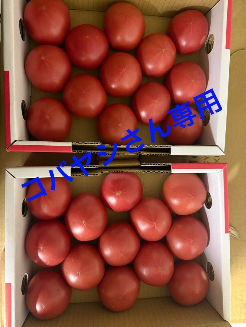 コバヤシさん専用 アメーラトマト5ケース