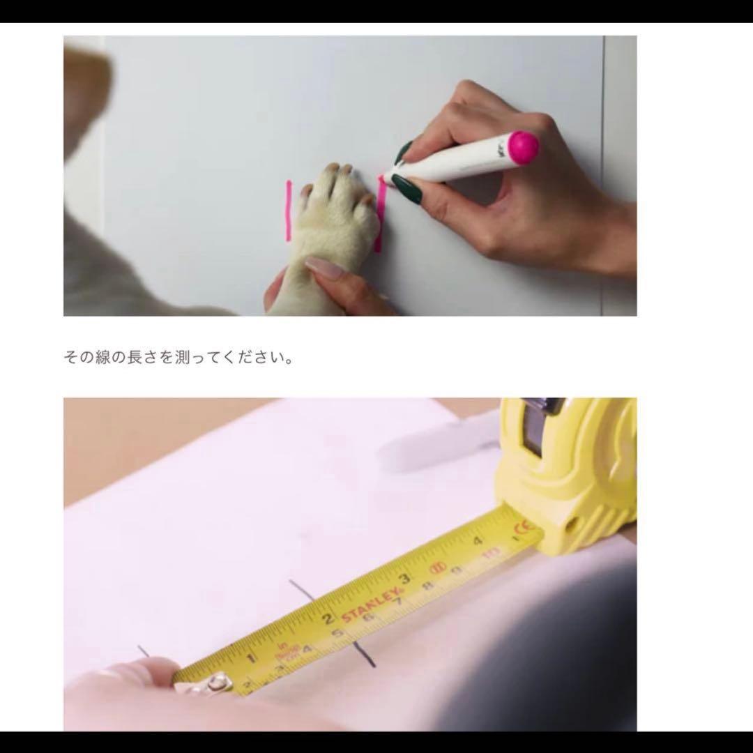 犬靴【94】【95】 RIFRUF スニーカー ドッグシューズ サイズ２