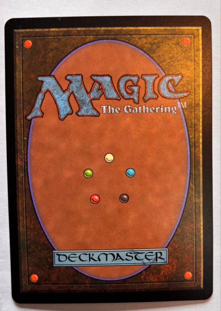 適名生存 エンチャントカード