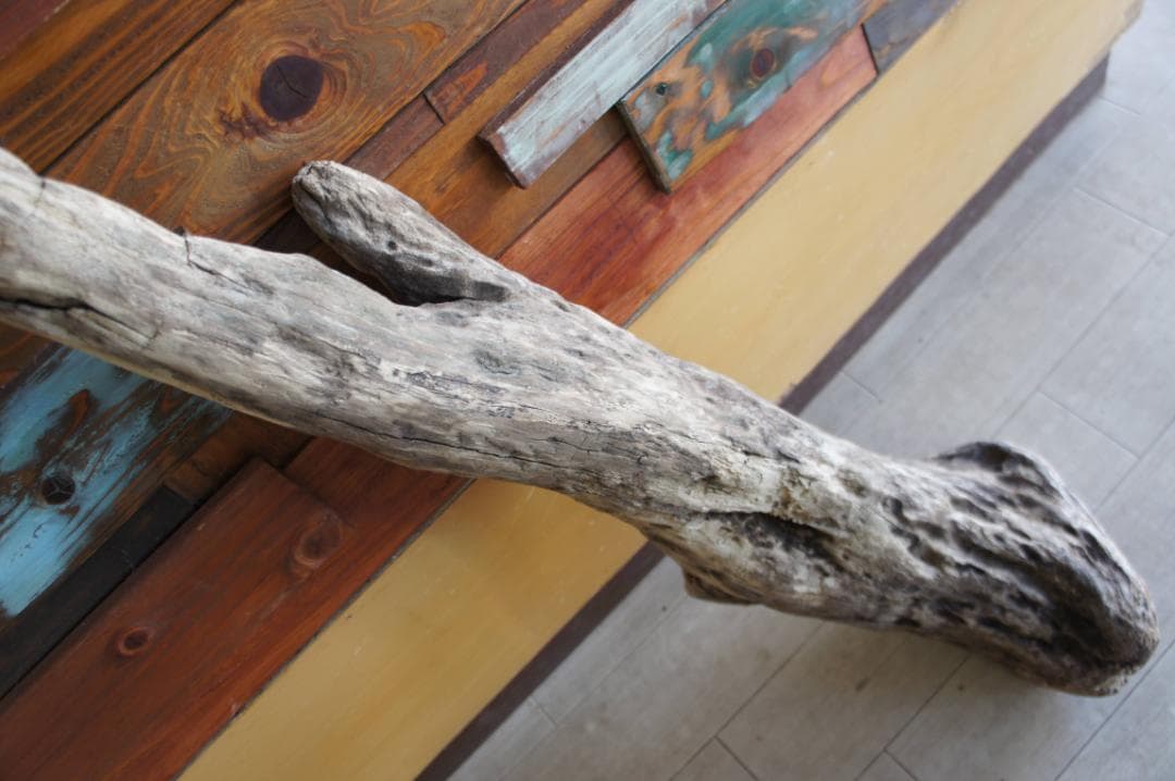 流木 インテリア 大型サイズ オブジェ ケージ 登り木 爬虫類 小動物 送料無料