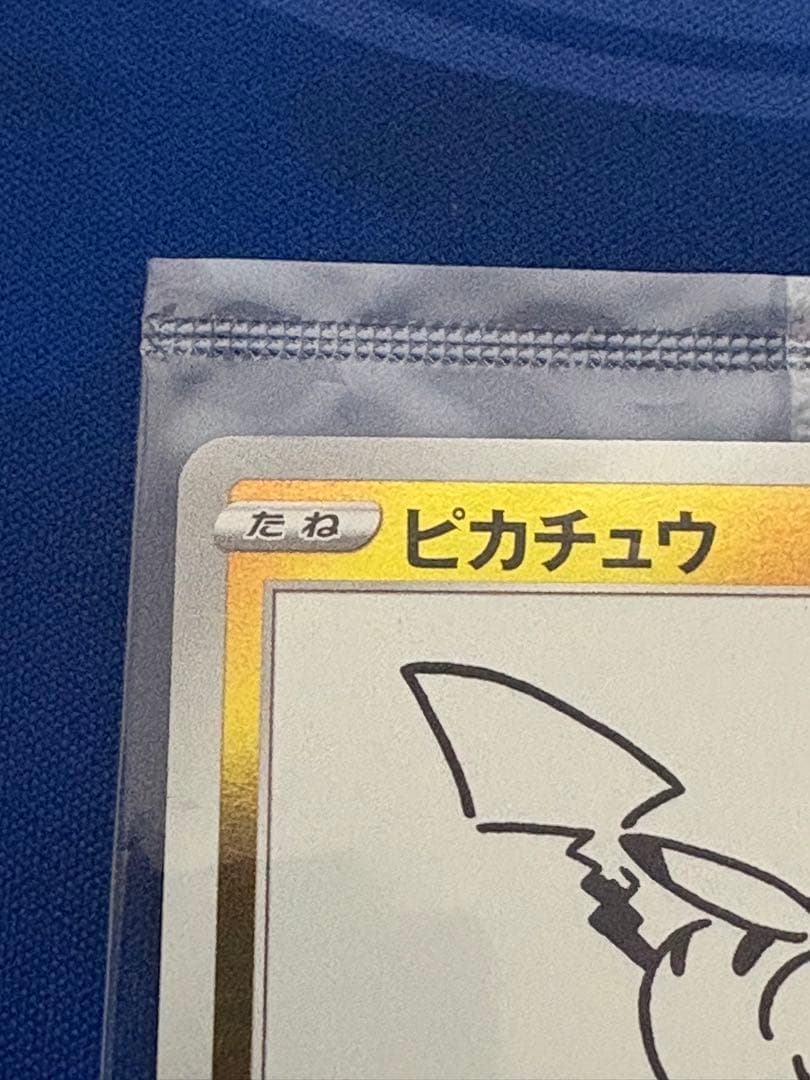 ポケカポケモンカードyunagabaピカチュウ プロモ新品未開封ブイズブラッキー