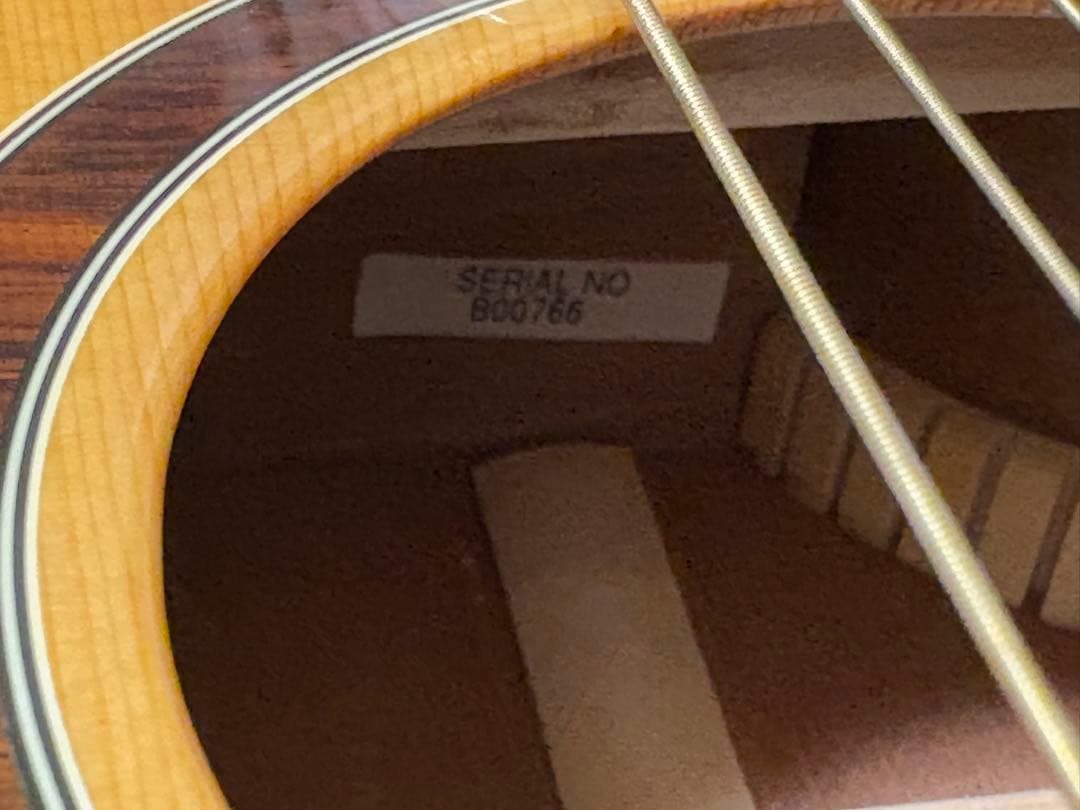 ポールリードスミスSE アンジェラス スタンダード ギター