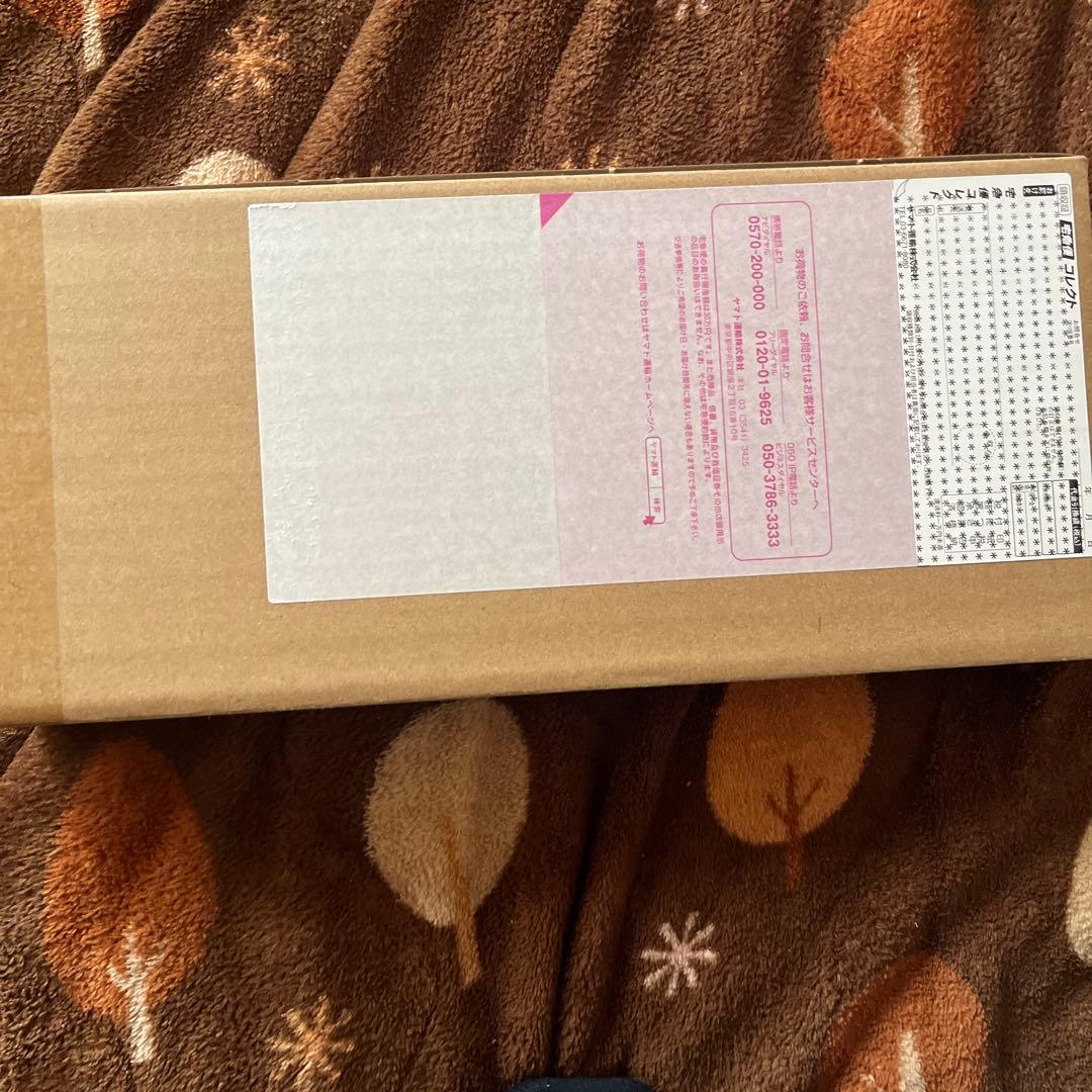 CSM T2ガイアメモリver.2 HtoN