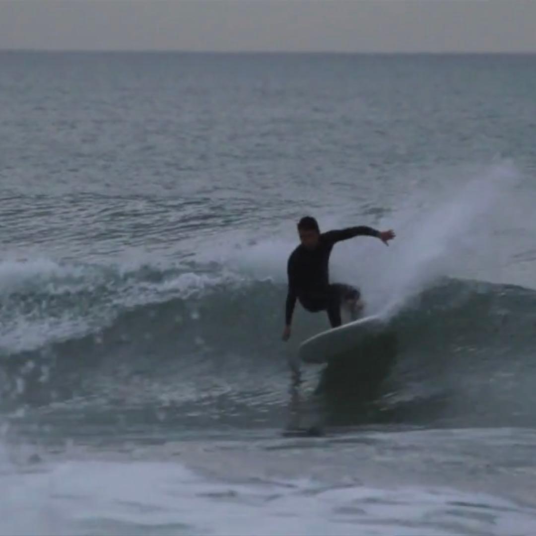 価格見直　Gato Heroi スペースローチ ミットレングス ガトヘロイ