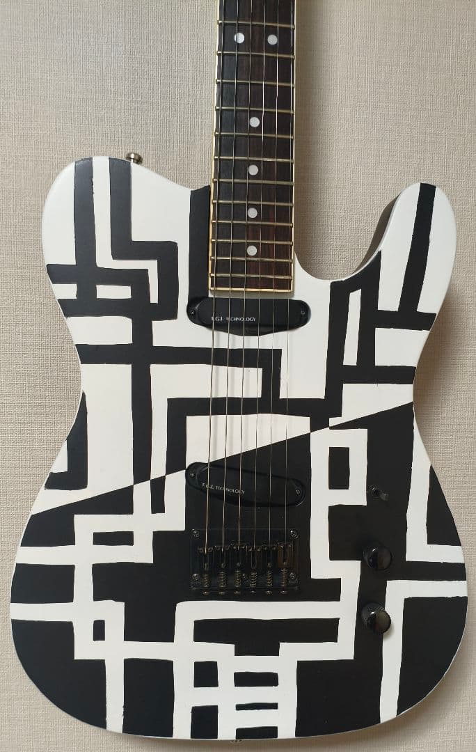 FERNANDES　TEJ-HOTEI　BLACK&WHITE　電子部品なし