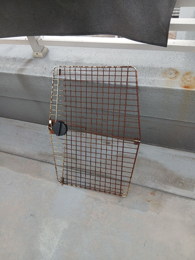 超大型犬用強化プラスチック製犬用ケージ(直接引取可能)