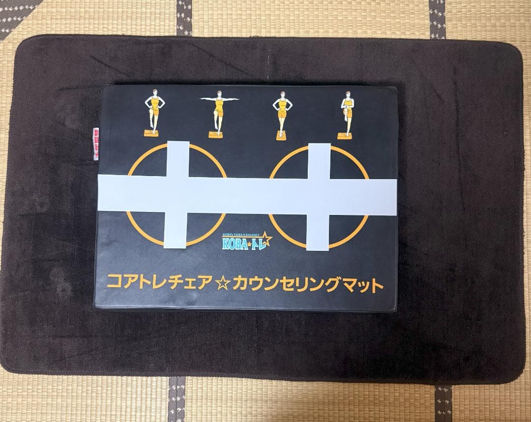 「はま」Panasonic　コアトレチェアEU-JC70 （送料込み）