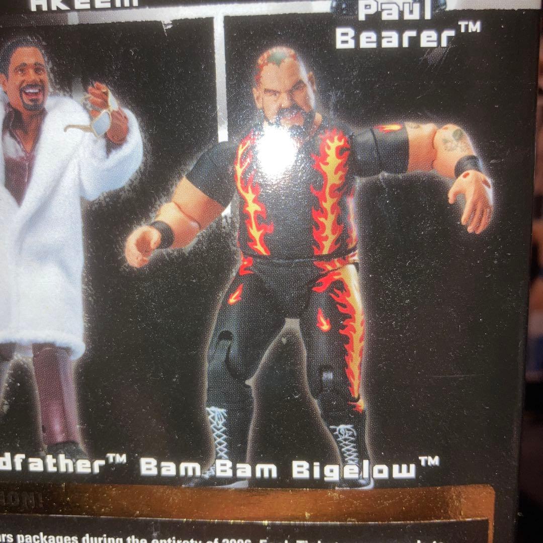 WWE クラシック9 バンバンビガロ