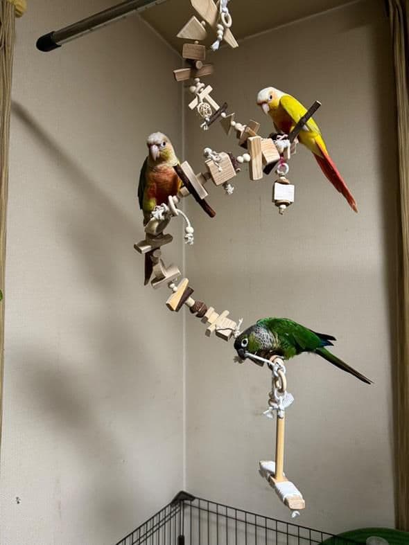 2ロング　自然素材　ウッドクライミング　中型インコ　ガジガジバードトイ　止まり木