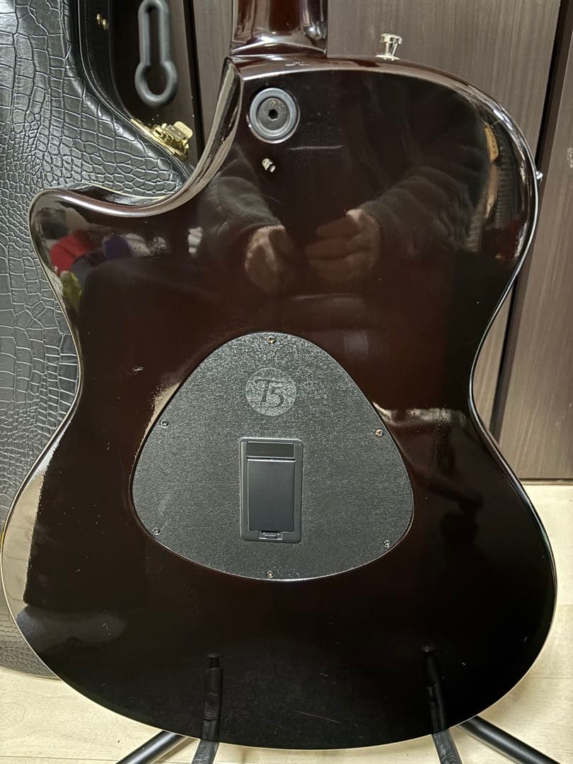 Taylor T5-S1 エレアコ