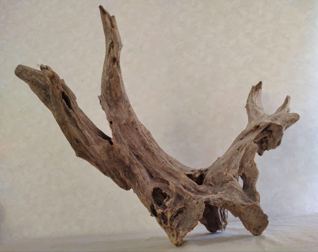 【希少】アクアリウム・ガーデニング・DIY向け 特大塊根ホーンウッド 70cm