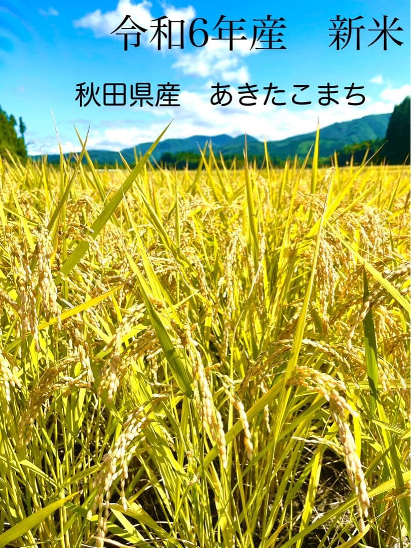 【メロディーナ様】専用