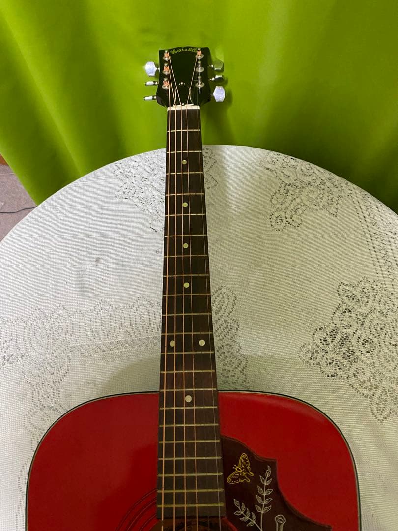 新春特価カントリーしようぜ！ ハミングバードHOTTAエレアコ音出し良好！