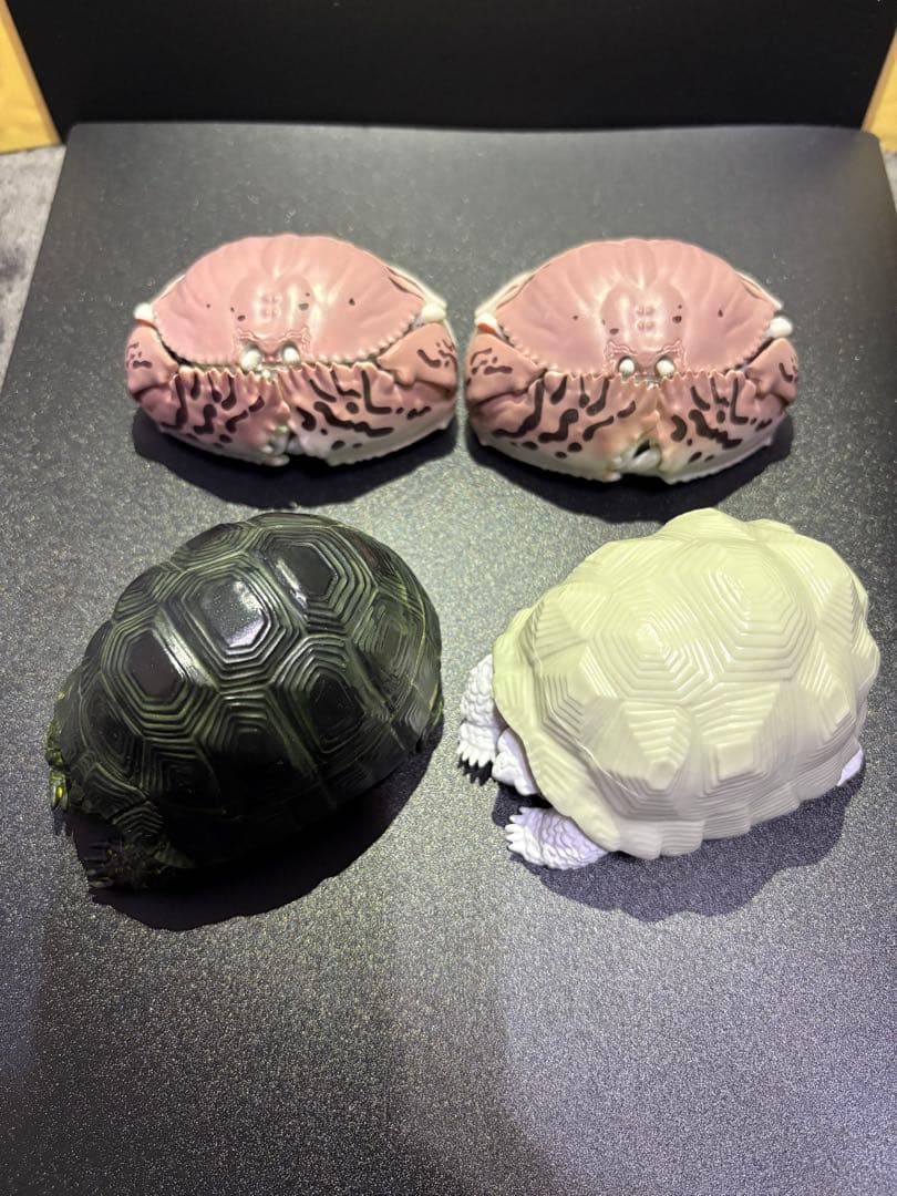 いきもの大図鑑　ダンゴムシガチャ　まとめ売り　42体