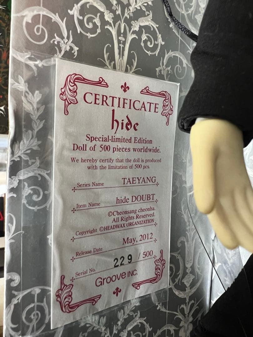 訳あり値下げ★限定品　hide DOUBTテヤン　貴重