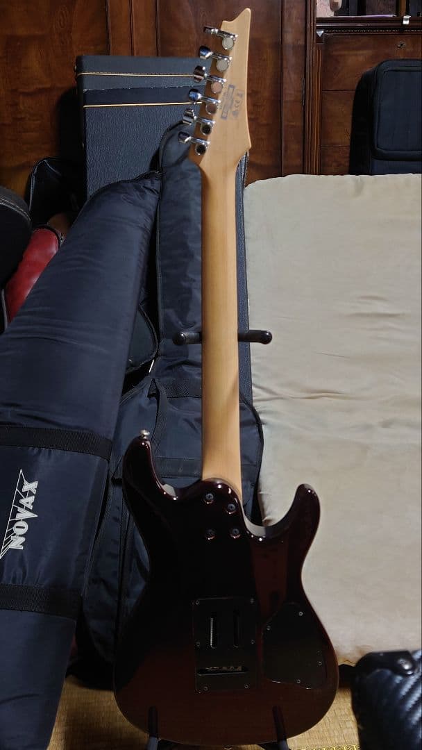 アイバニーズ SAシリーズ レフティ 社外ソフトケース付き