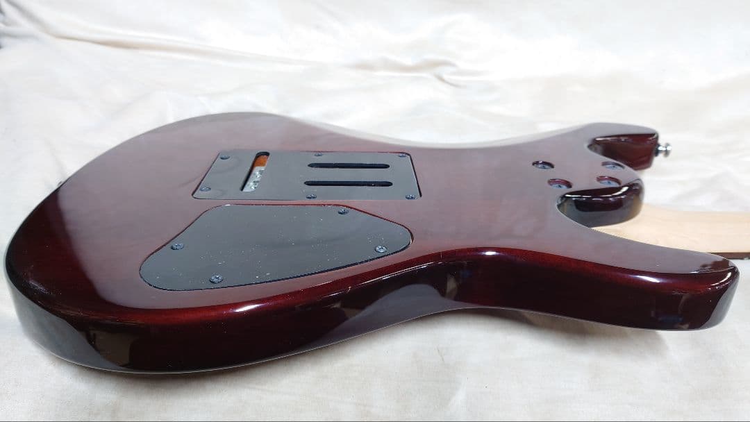 アイバニーズ SAシリーズ レフティ 社外ソフトケース付き