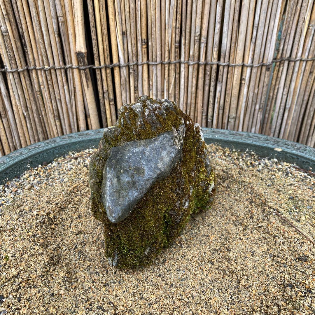 京都　貴船　糸掛石【B】