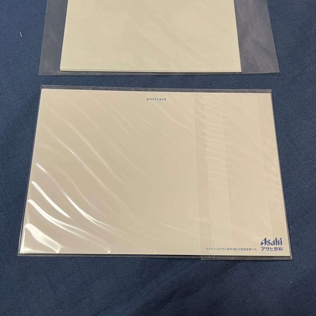 【限定品】　カルピス　アオのハコ　キャンペーン品