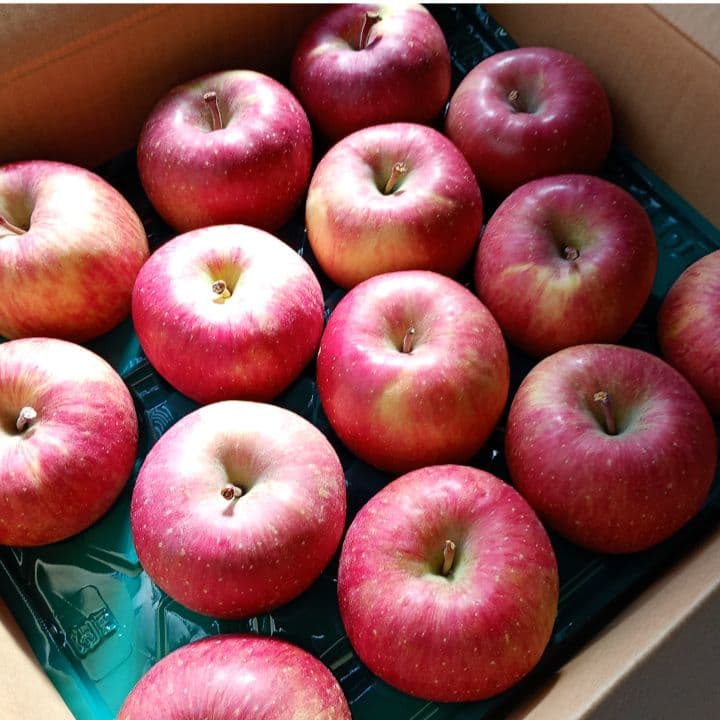 青森　ゴールド農園　葉取らずサンふじ　10キロ箱　赤特秀