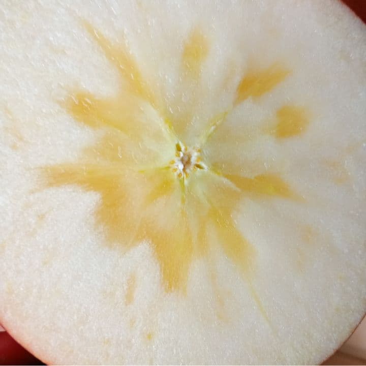 青森　ゴールド農園　葉取らずサンふじ　10キロ箱　赤特秀