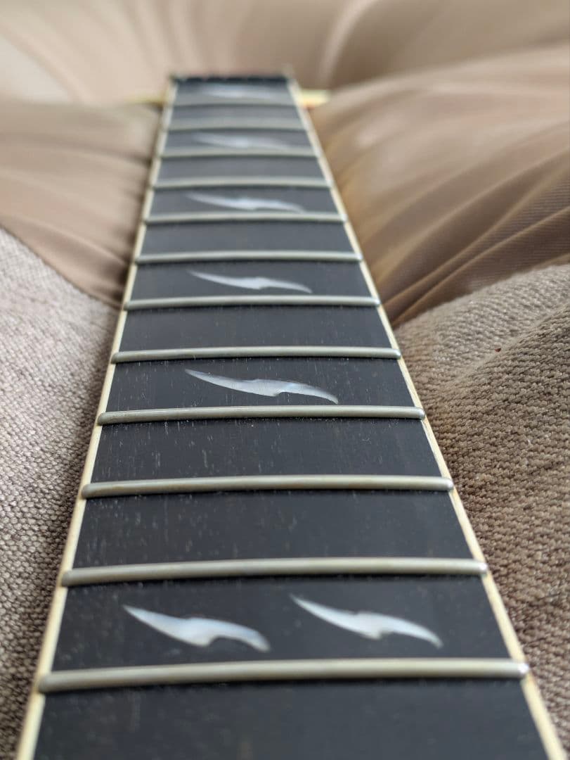 ギター Epiphone Les Paul Custom Prophecy GX