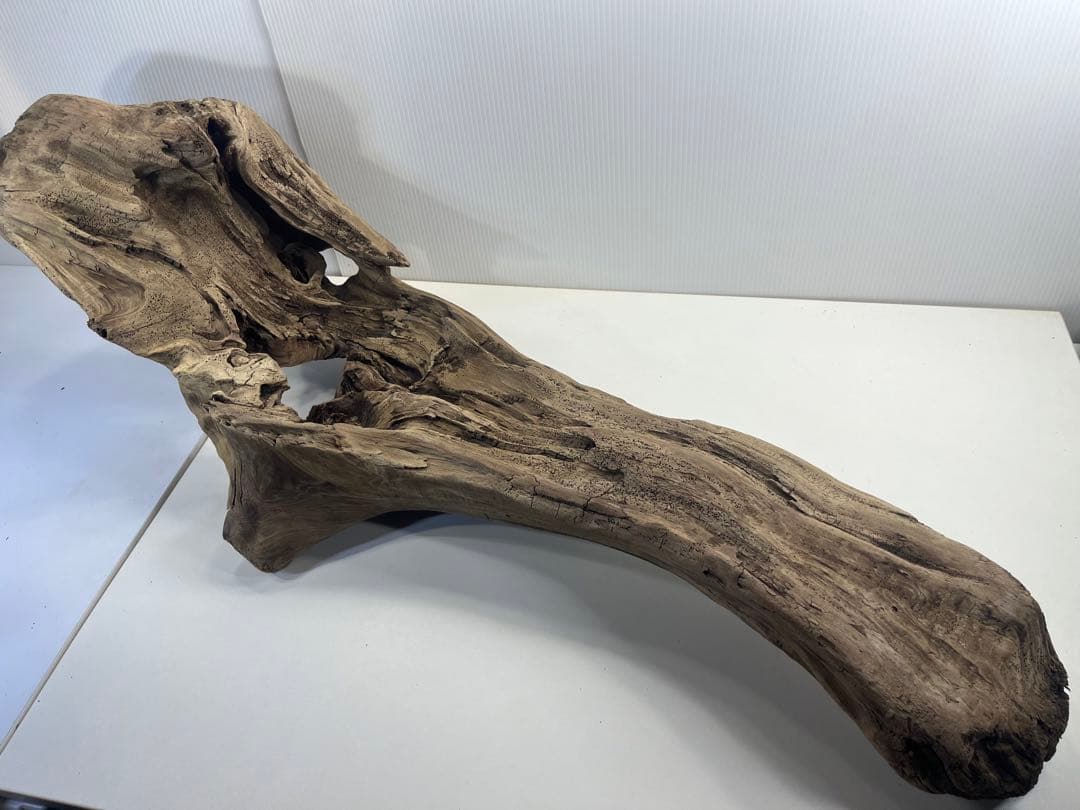 V45特大流木 アク抜き済み流木 爬虫類シェルター 登り木 インテリア 生け花