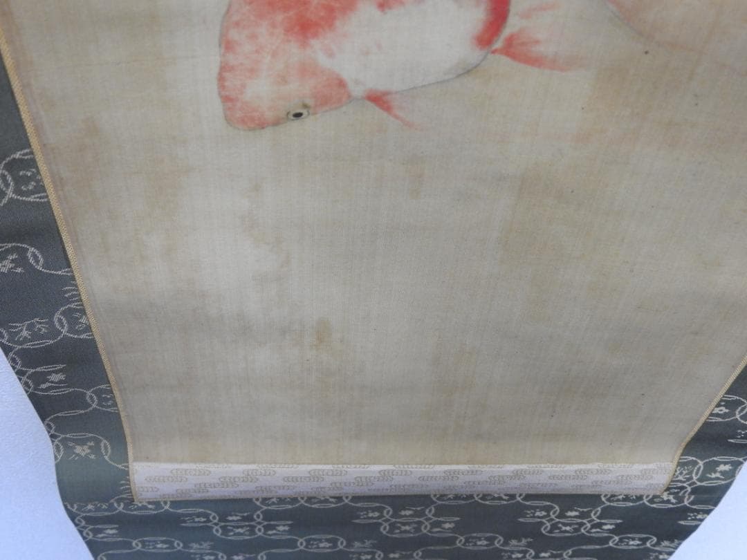 春耕　金魚図　保存箱　MA835