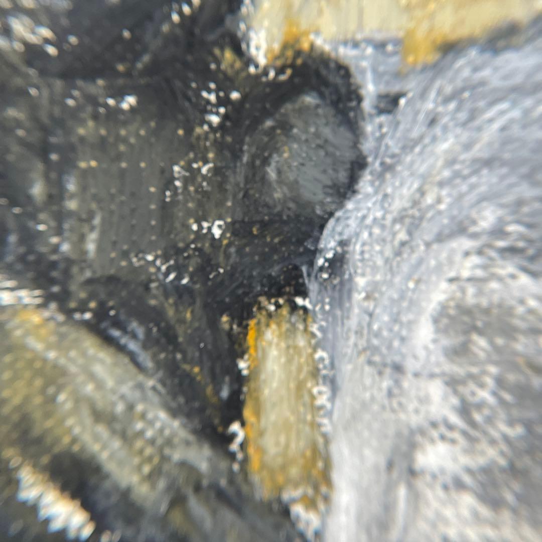 【ブラッキー】絵画 猫 Kuku