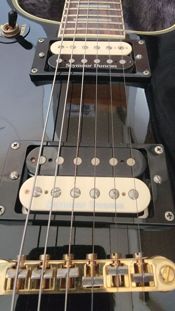 ギター Epiphone Tak Matsumoto DC