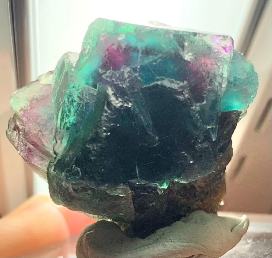 【奇跡のトリカラー】オコルス フローライト 標本