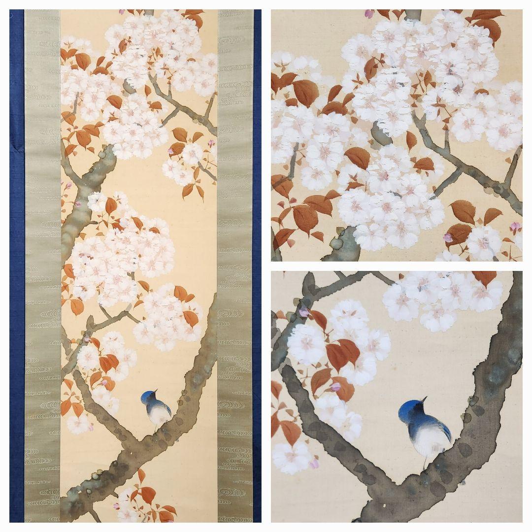 【桜花小禽図】山田耕雲 2688 サクラに鳥 春掛け 花見 掛け軸 肉筆 共箱