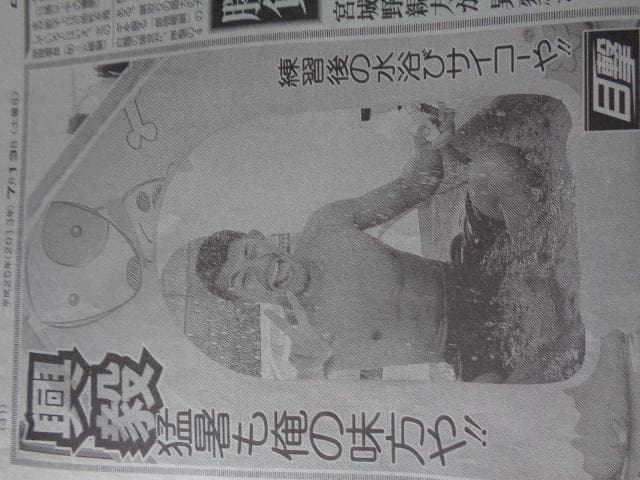 大谷翔平、亀田興毅、白鵬　　大相撲　　2013年