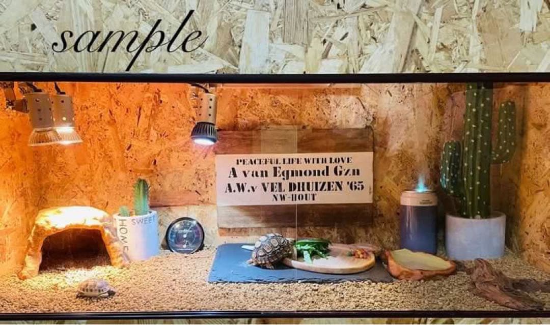 爬虫類ケージ　木製ケージ　9040 フトアゴ　ハリネズミ フルオプション