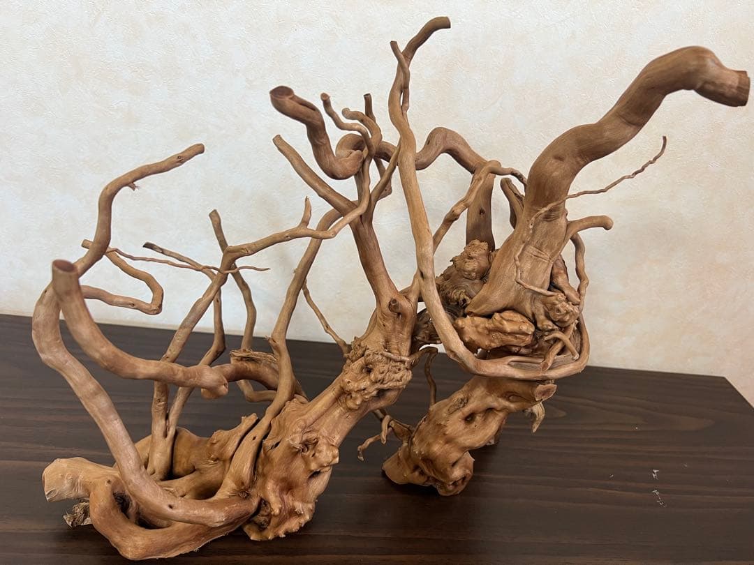 13004 ブランチウッド　流木　アクアリウム　沈水確認済