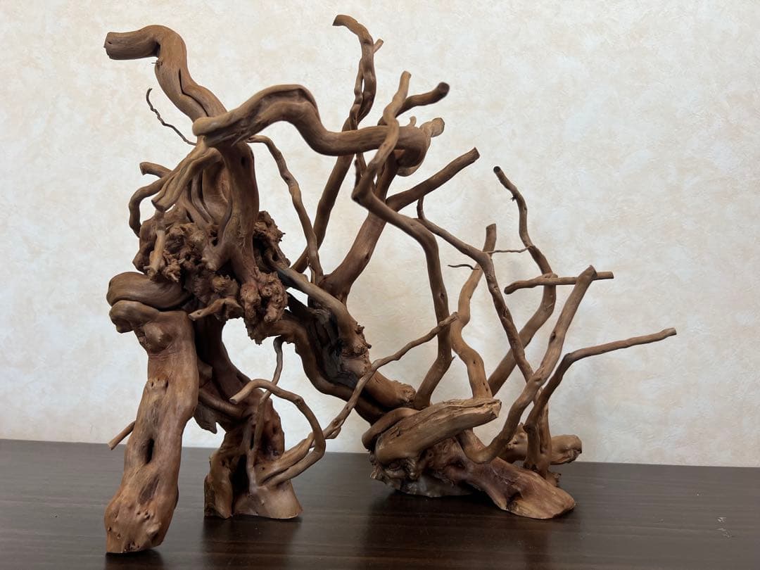 13004 ブランチウッド　流木　アクアリウム　沈水確認済