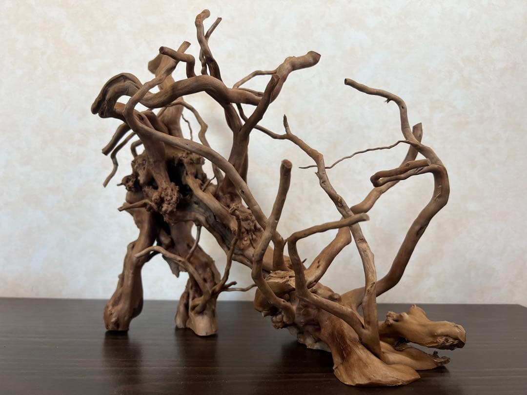 13004 ブランチウッド　流木　アクアリウム　沈水確認済