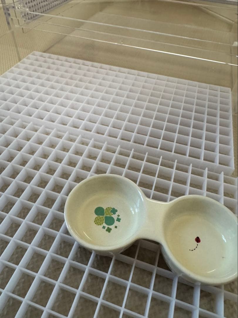 アクリルケージ　小動物　フクロモモンガ