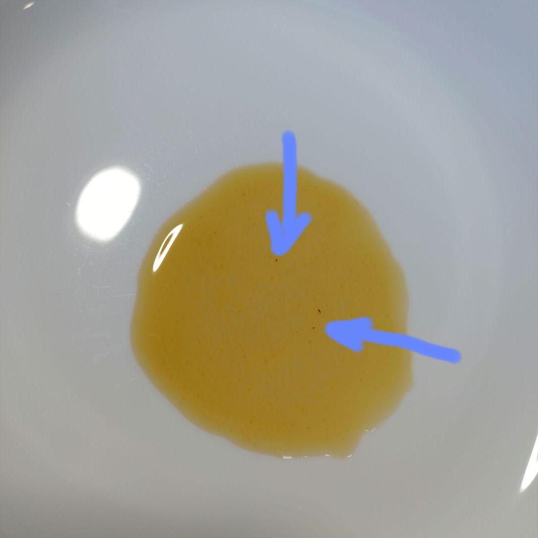 チク　タク　ニホンミツバチ　はちみつ　　信州産　非加熱　580ｇ✕2本