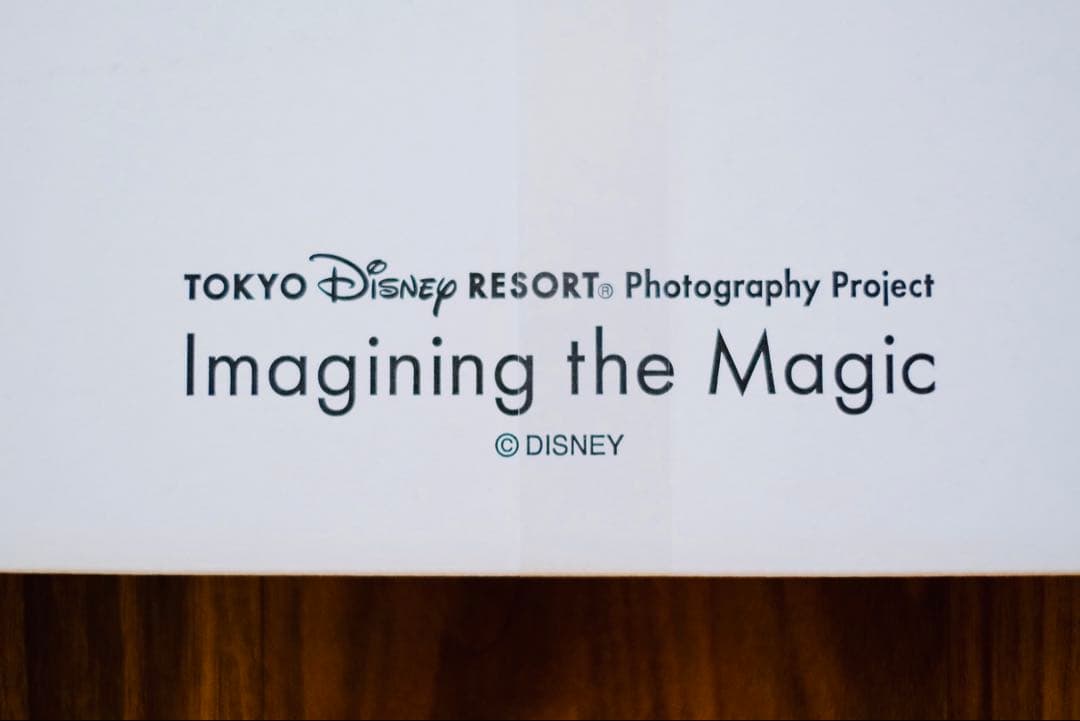 ✨完全未開封✨アートパネル ディズニー40周年 イマジニングザマジック