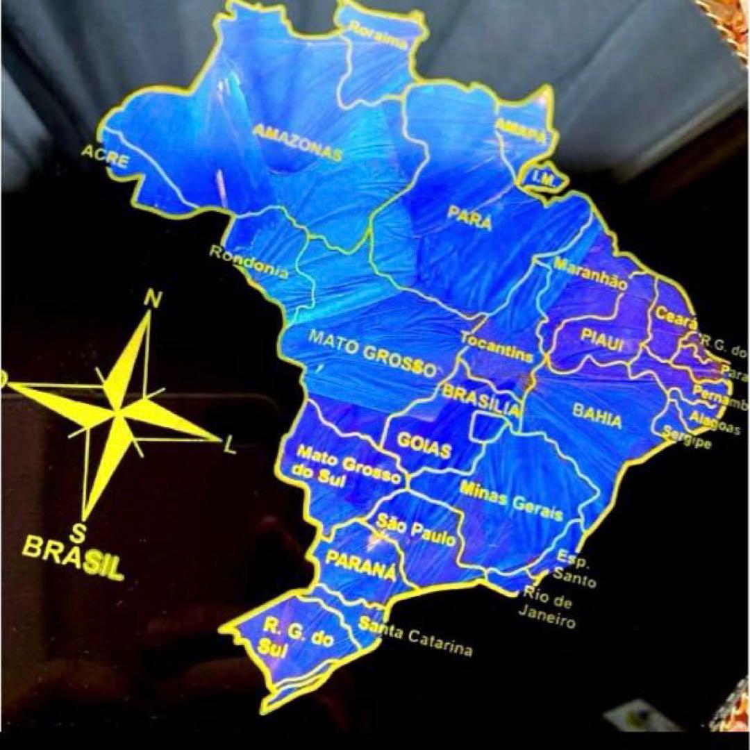 【モルフォ蝶】大型ブラジル地図壁掛けアート　29センチ　天然石装飾　稀少