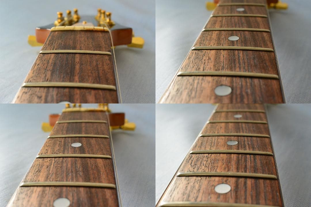 Aria Pro II CS-350T ピックアップ増設 バーズアイピックガード