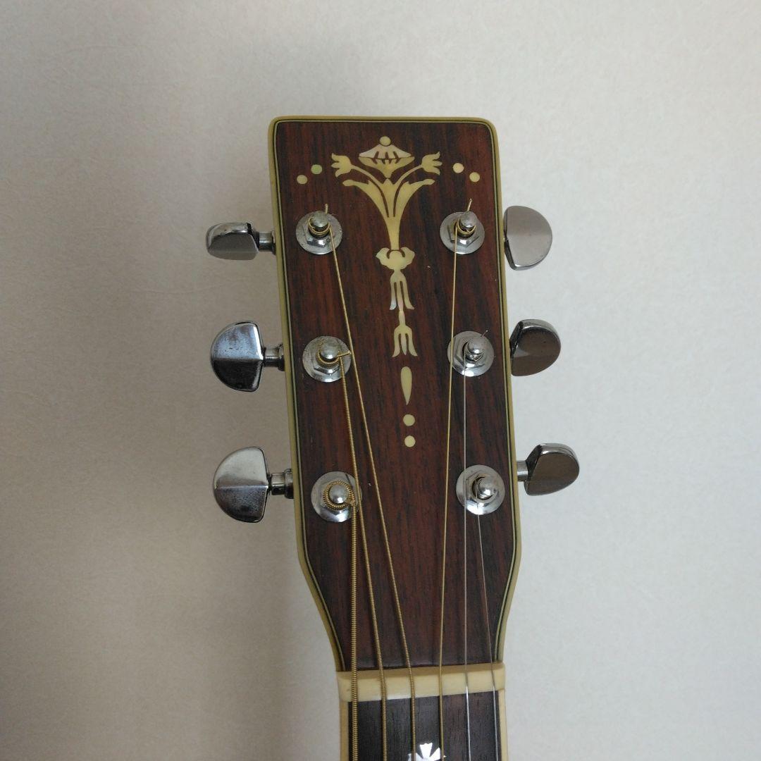 スズキバイオリン スリーエス　W-500 アコースティックギター