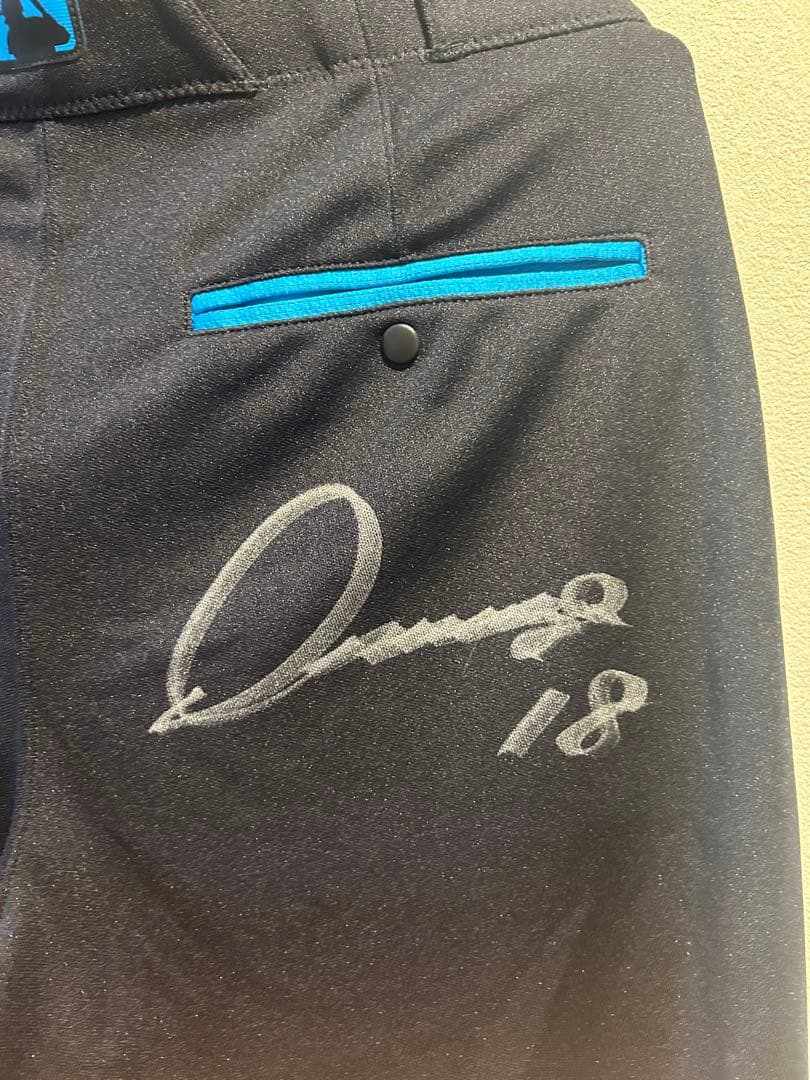 メ*)様 【実使用・宝・超貴重】今永昇太選手　オールスターゲームパンツ使用　直筆