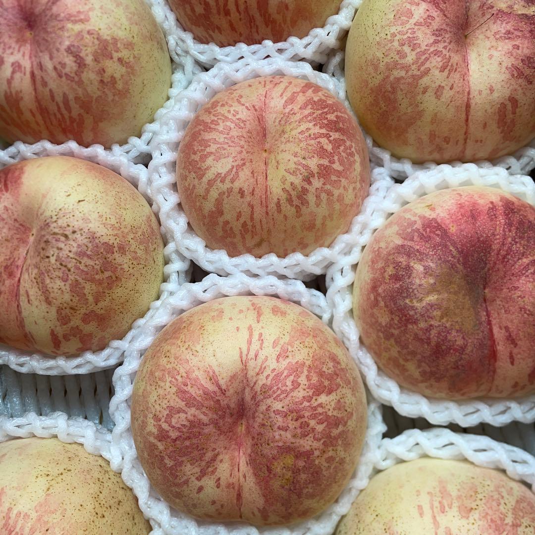 山形県産　桃①訳ありシーエックス　5キロ箱使用✖︎2