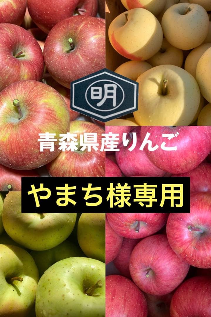 青森県産りんご【葉とらずサンふじ.青林】623、624家庭用 各5kgやまち様