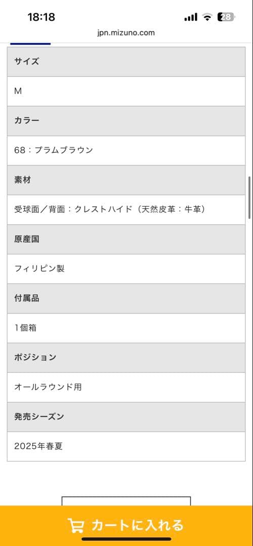 お値下げしました！Mizuno SIGNA硬式グローブ Mサイズ