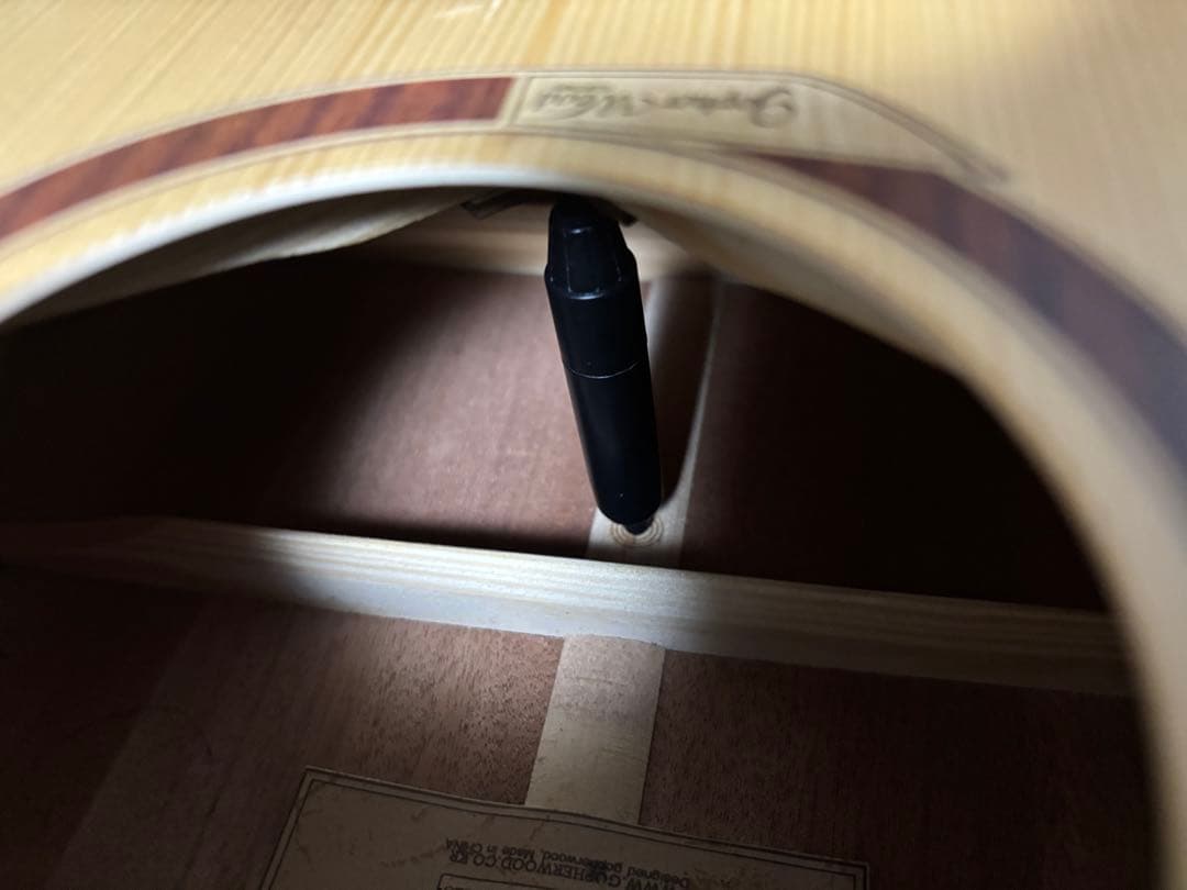 Gopher Wood アコースティックギター ギターケース　新品弦二つ付き