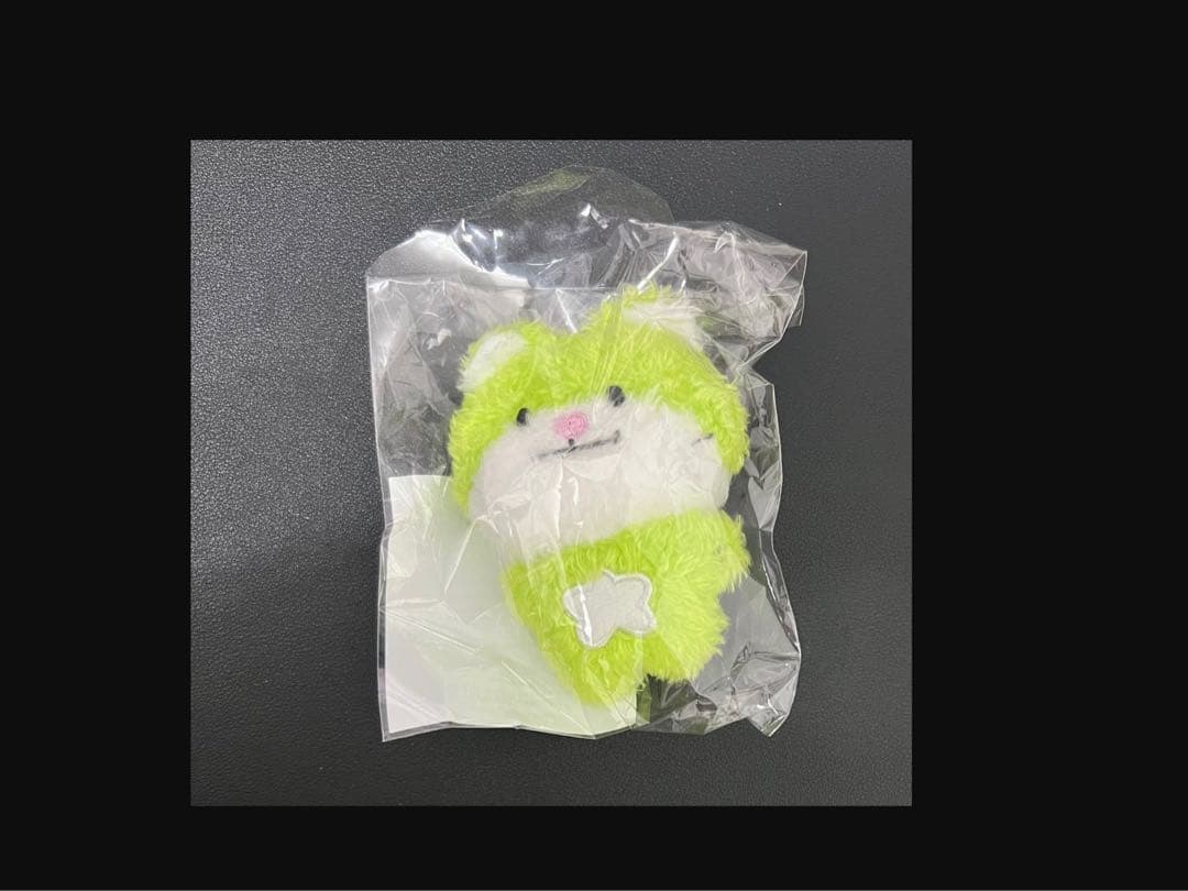 EVNNIZ チョンイ　ぬいぐるみ（ミニ）