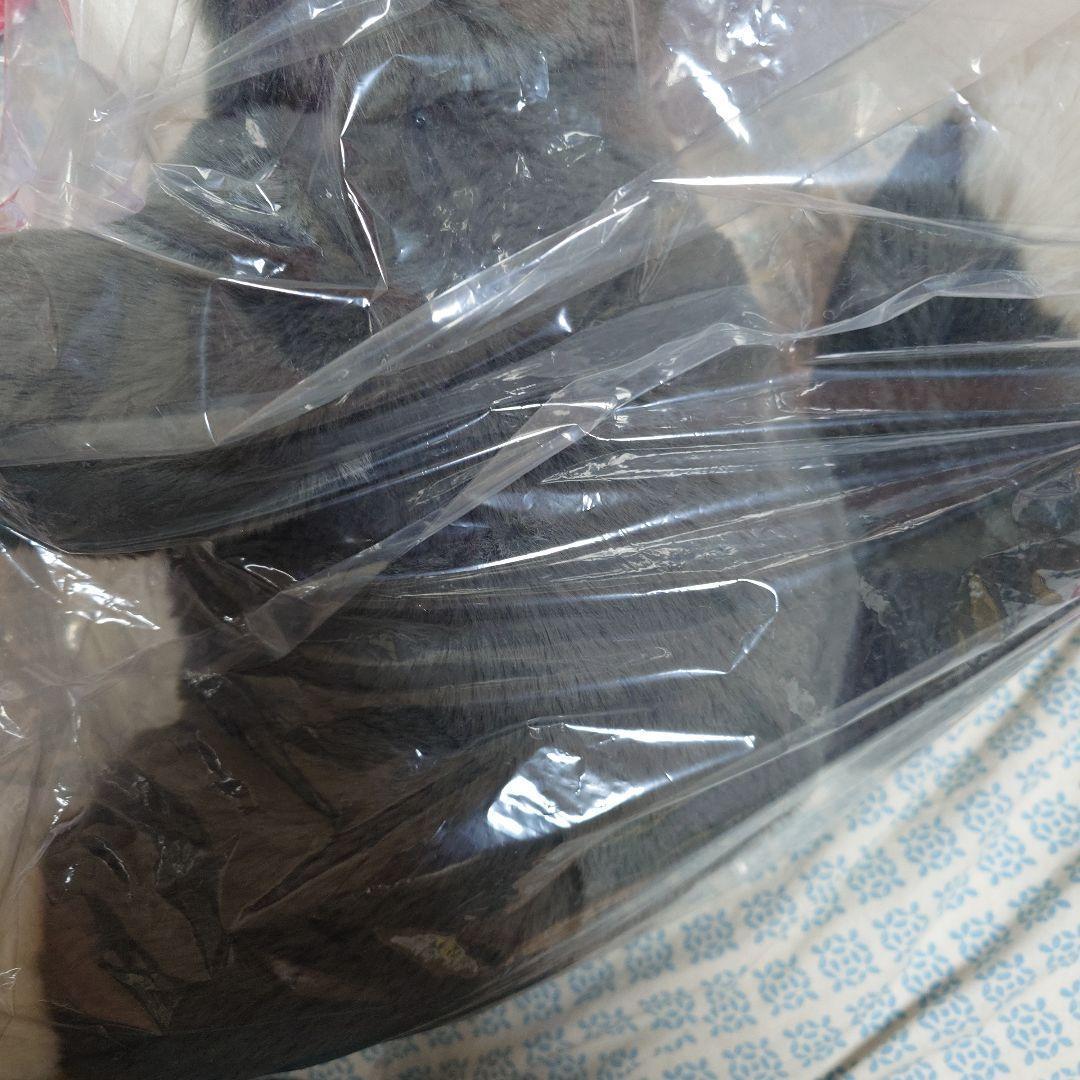 ルシファー ぬいぐるみ DISNEY CAT DAY 2024